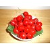 Vintage Ceramic ITALIAN Made Bowl Full of Cherries, 6"× 5"   223075622489